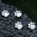 Solar Paw Print Lights